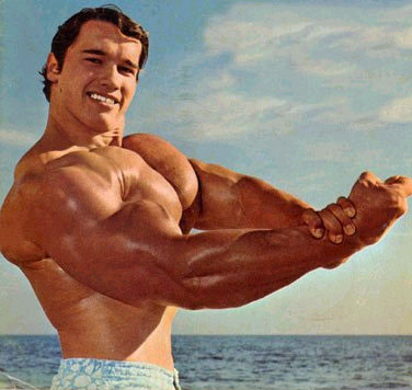 Όνομα: Arnold Schwarzenegger Body Building Photos (25).jpg Εμφανίσεις: 2730 Μέγεθος: 30,1 KB