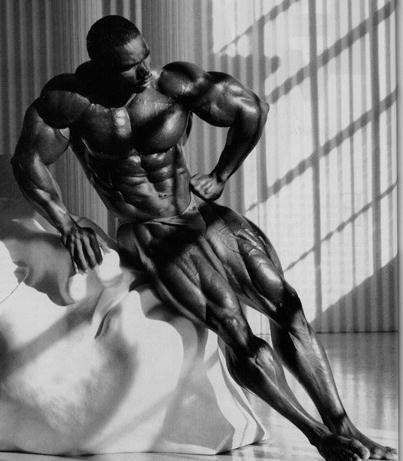 Όνομα: flex wheeler.jpg Εμφανίσεις: 2124 Μέγεθος: 28,1 KB