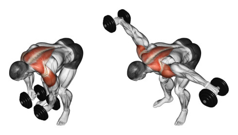 Όνομα: shoulders-bent-over-side-raises-490x278.jpg Εμφανίσεις: 456 Μέγεθος: 24,3 KB