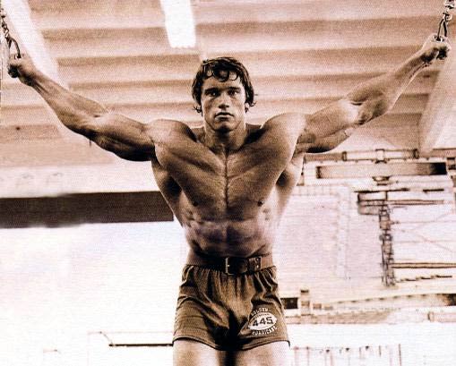 Όνομα: Arnold Schwarzenegger1.jpg Εμφανίσεις: 1688 Μέγεθος: 38,7 KB