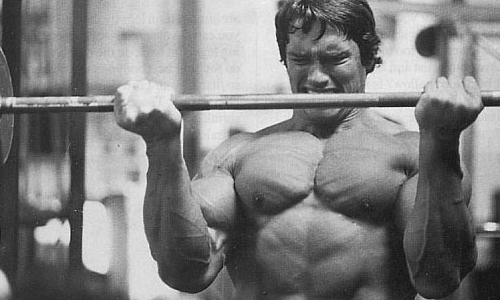 Όνομα: arnold-barbell-curl-2.jpg Εμφανίσεις: 9554 Μέγεθος: 104,0 KB