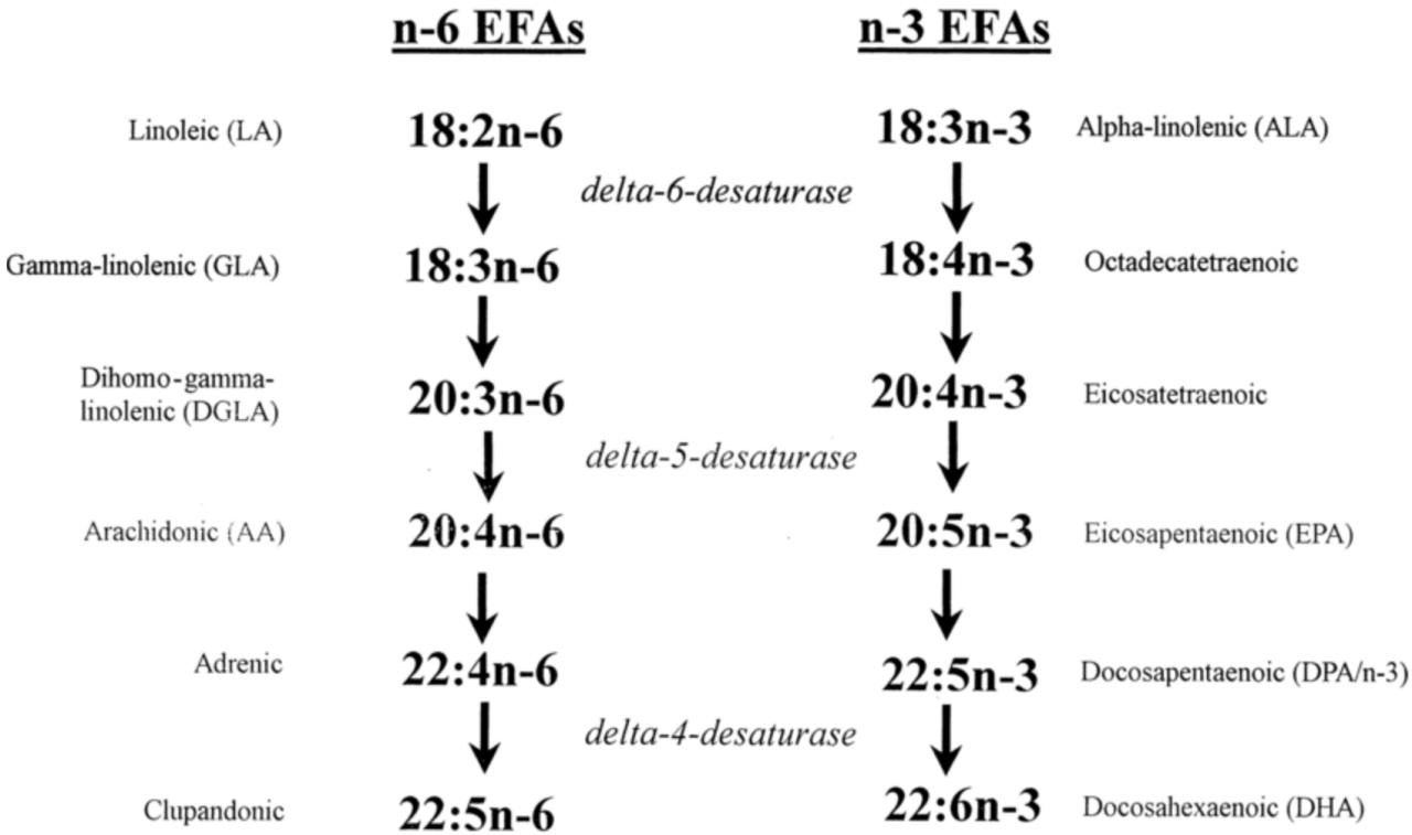 Όνομα: αβ.jpg Εμφανίσεις: 468 Μέγεθος: 61,3 KB