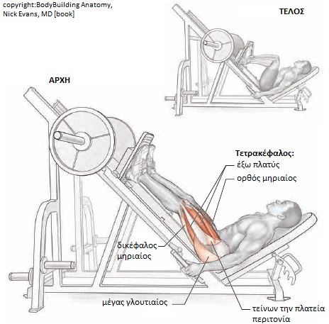 Όνομα: leg press.jpg Εμφανίσεις: 3977 Μέγεθος: 66,6 KB