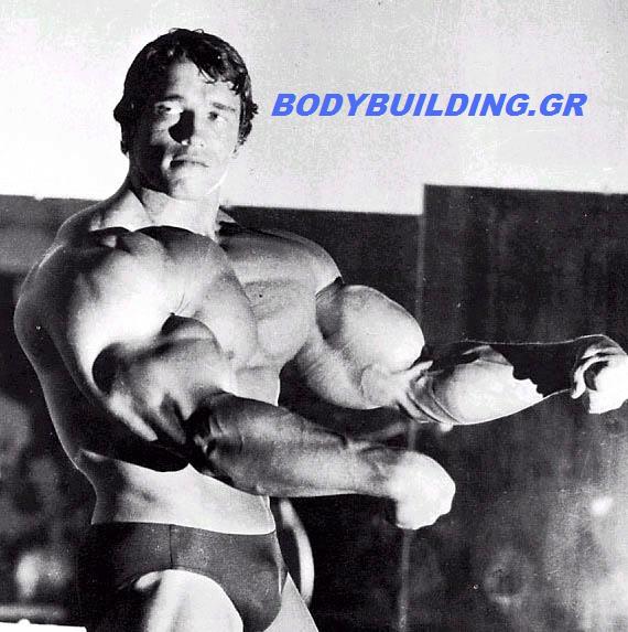 Όνομα: arnold-schwarzenegger-big.jpg Εμφανίσεις: 1793 Μέγεθος: 57,9 KB