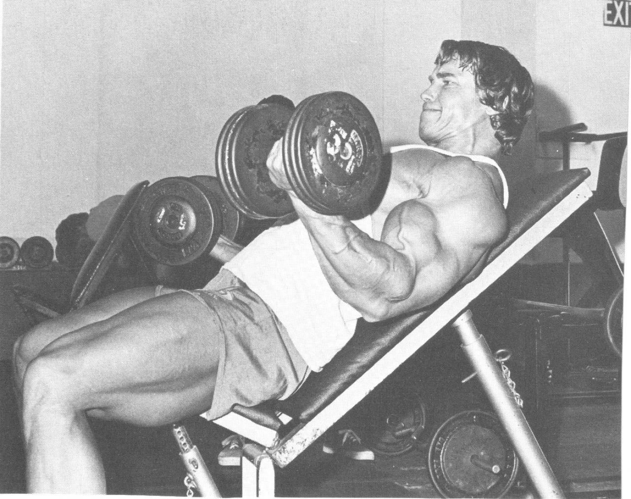 Όνομα: Schwarzenegger incline.jpg Εμφανίσεις: 2307 Μέγεθος: 308,8 KB