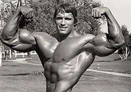 Όνομα: Schwarzenegger double-bi front.jpg Εμφανίσεις: 2217 Μέγεθος: 19,4 KB