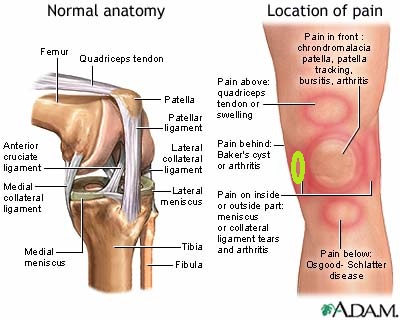 Όνομα: Knees.jpg Εμφανίσεις: 21248 Μέγεθος: 48,0 KB