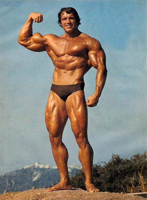 Όνομα: arnoldschwarzenegger002.jpg Εμφανίσεις: 3142 Μέγεθος: 55,7 KB