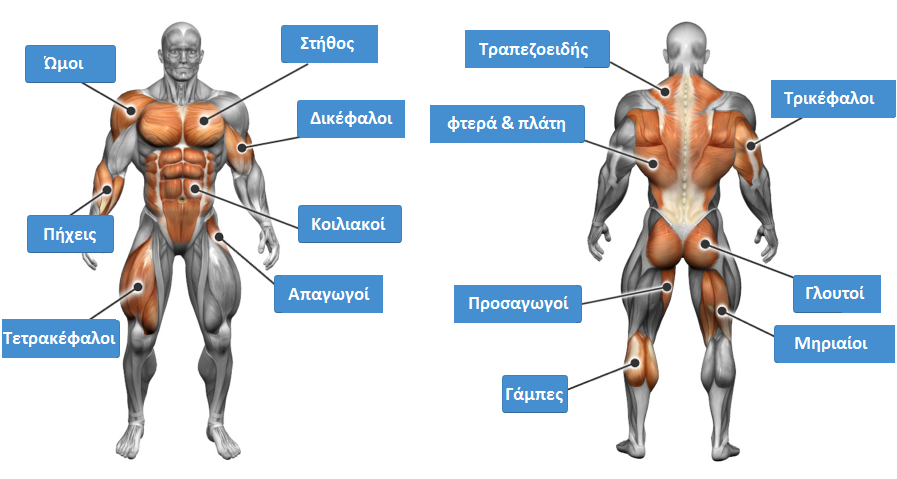 Όνομα: μαπ.png Εμφανίσεις: 100588 Μέγεθος: 226,2 KB