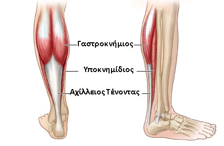 Όνομα: 147.jpg Εμφανίσεις: 10898 Μέγεθος: 38,6 KB