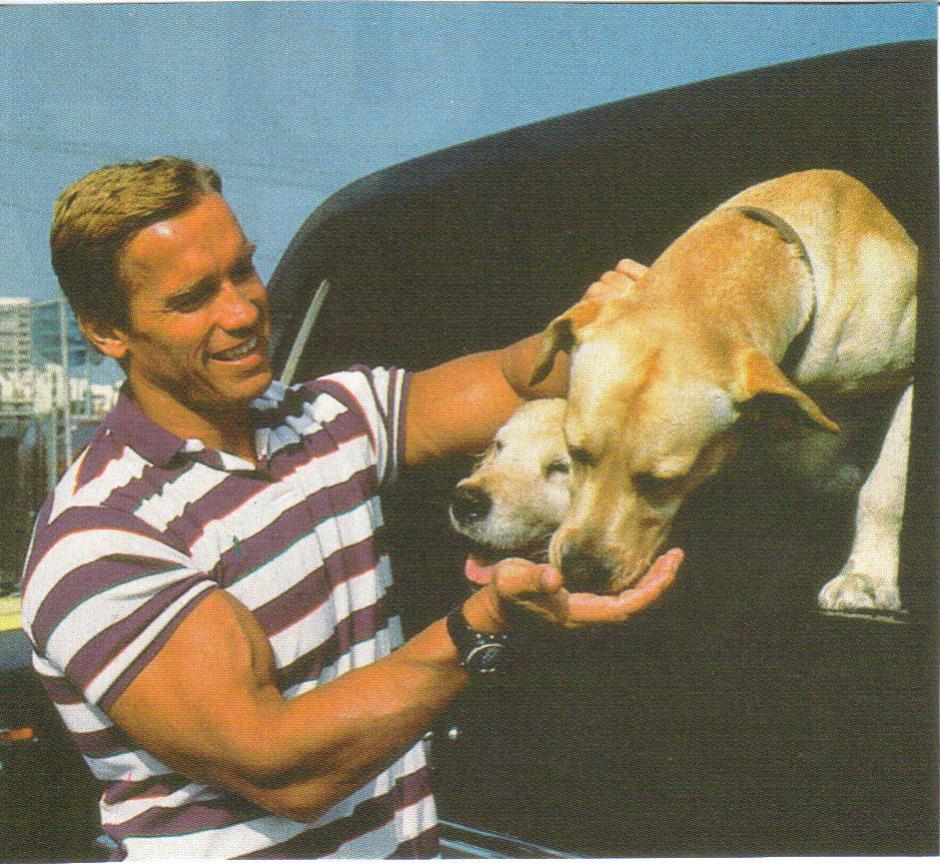 Όνομα: Schwarzenegger + Labradors.jpg Εμφανίσεις: 2283 Μέγεθος: 179,2 KB